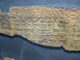 The Lost Books of the Bible: What Are the Apocryphal Texts and Why Were They Left Out?