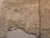 Archaeologist May Have Found the Camp Where the Bible Says an Angel Killed 185,000 Soldiers Overnight